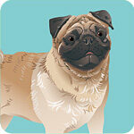 01pug-icon-1-7084788