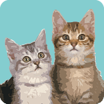 cat-7761225