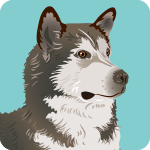 husky-8977143