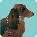 miniature-dax-8935708