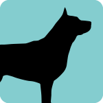 mongrel-dog-9016601