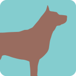 other-dog-6622696