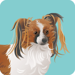 papillon-5767423