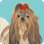 shih-tzu-4757211