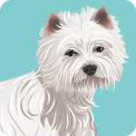 westie-2025754