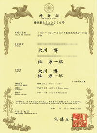tokkyo01-8962936