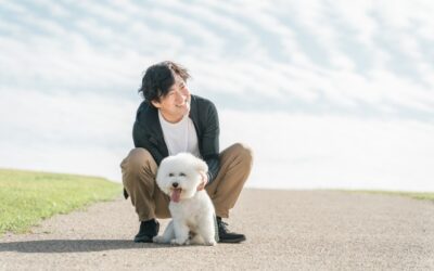 2024年版 獸醫師解説 犬的淋巴瘤是什麼?預後與治療費用、化療副作用