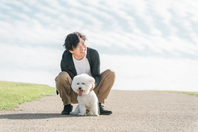 2024年版 獸醫師解説 犬的淋巴瘤是什麼？預後與治療費用、化療副作用