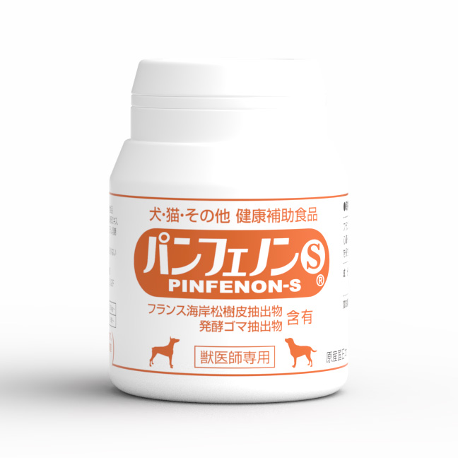 潘飛龍S