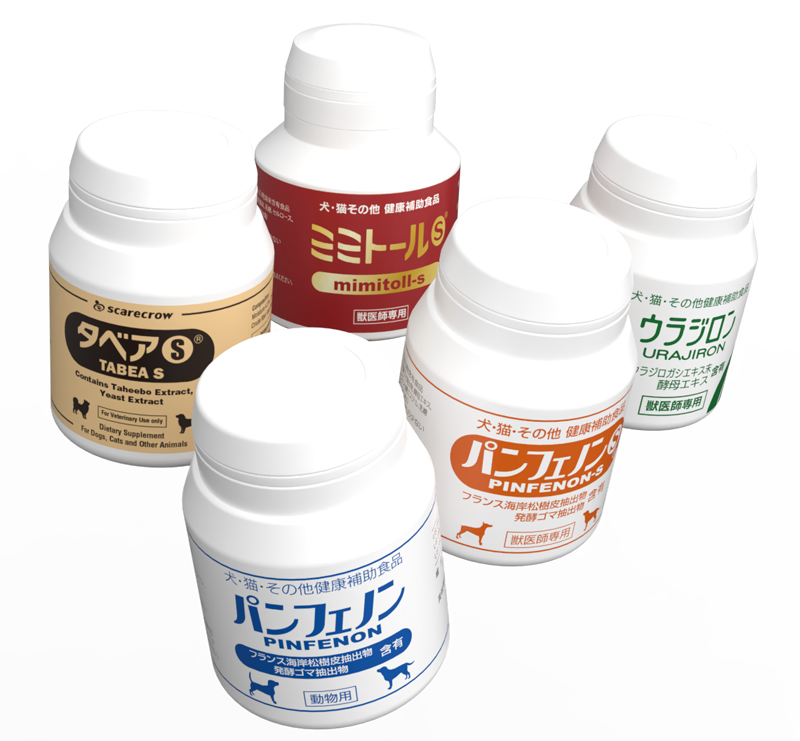 Scarecrow Co., Ltd.